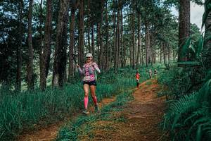 BIB: 
                            <button type="button" onclick="openModal(25752095)" class="btn btn-primary btn-sm float-right btn-popup" data-toggle="modal" data-target=".modal-high-quality">
                        <i class="fas fa-shopping-cart"></i> Add to Cart
                    </button>
                                            <button type="button" onclick="isThisMe(25752095, true)" class="btn btn-success btn-sm float-right btn-popup btn-isme hidden" data-toggle="tooltip" data-placement="bottom" title="นี่คือรูปของคุณใช่ไหม คลิกที่นี่เพื่อเอาเข้าอัลบั้ม">
                        <i class="fas fa-plus"></i> Add to album
                    </button>
                    <button type="button" onclick="isThisMe(25752095, false)" class="btn btn-warning btn-sm float-right btn-popup btn-isnotme hidden">
                        <i class="fas fa-ban"></i> Remove from album
                    </button>